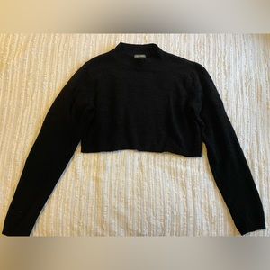 Wild fable cropped sweater
